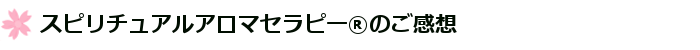 menu_kanso1